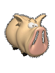 pic for Funny Pig